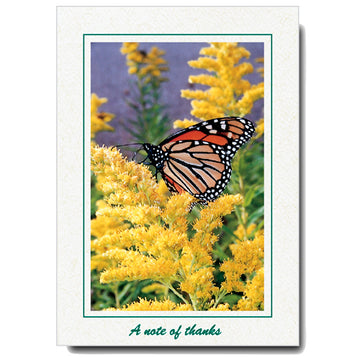 1113 - Natural, A note of thanks, Vertical, set of 10 cards