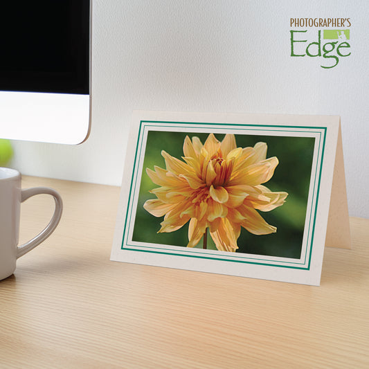 1132A-A - Natural, Amazon Green & Amazon Green Border, Blank Back, set of 10 cards