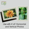 1132A-A - Natural, Amazon Green & Amazon Green Border, Blank Back, set of 10 cards