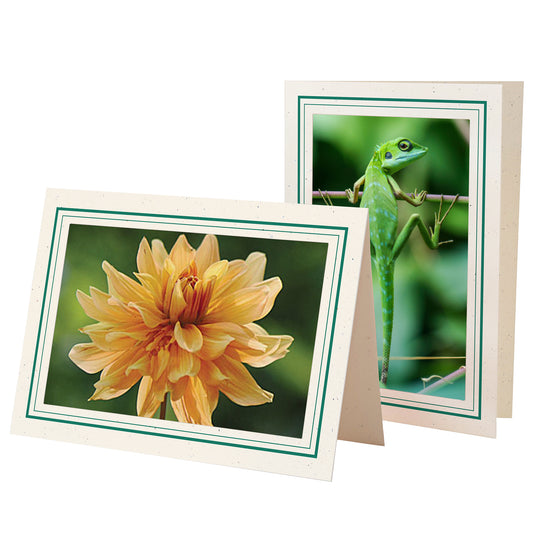 1132A-A - Natural, Amazon Green & Amazon Green Border, Blank Back, set of 10 cards