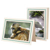 1132A-S - Natural, Amazon Green & Sandstone Border, Blank Back, set of 10 cards