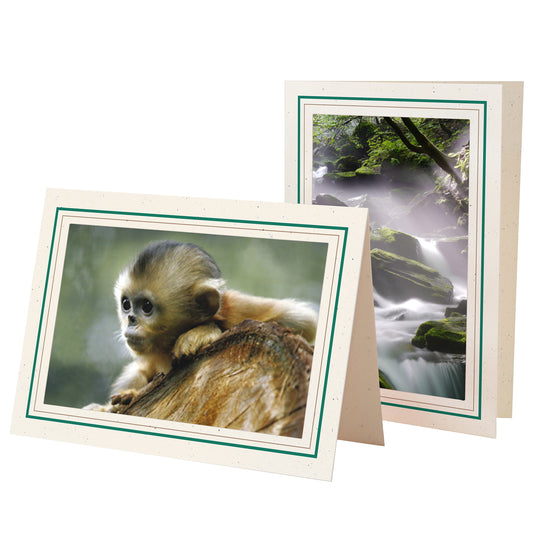 1132A-S - Natural, Amazon Green & Sandstone Border, Blank Back, set of 10 cards