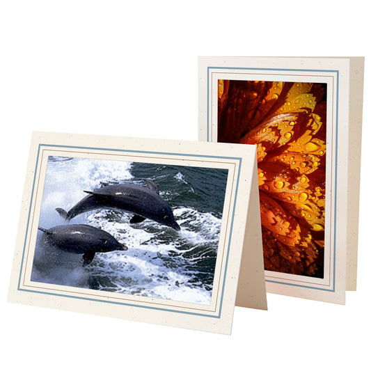 1132B-S - Natural, Blue Mist & Sandstone Border, Blank Back, set of 10 cards