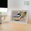 1132BK-BK - Natural, Raven Black & Raven Black Border, Blank Back, set of 10 cards
