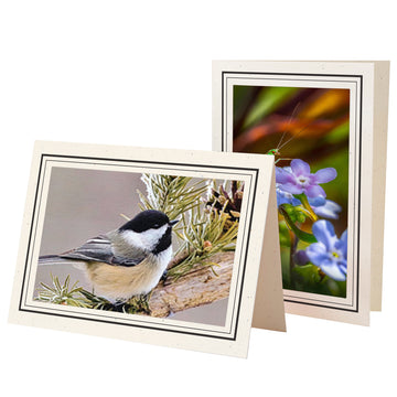 1132BK-BK - Natural, Raven Black & Raven Black Border, Blank Back, set of 10 cards