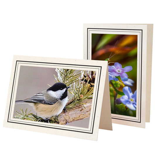 1132BK-BK - Natural, Raven Black & Raven Black Border, Blank Back, set of 10 cards