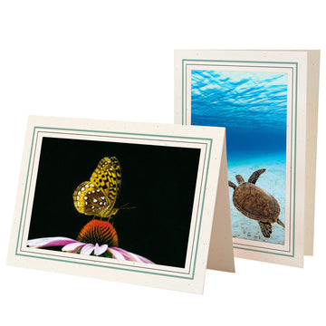 1132J-BK - Natural, Jade Slate & Raven Black Border, Blank Back, set of 10 cards