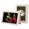 1132SC-A - Natural, Scarlet Red & Amazon Green Border, Blank Back, set of 10 cards
