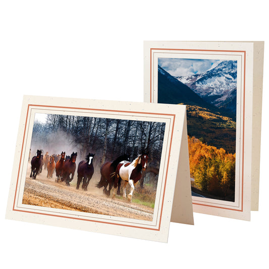 1132T-S - Natural, Terracotta & Sandstone Border, Blank Back, set of 10 cards