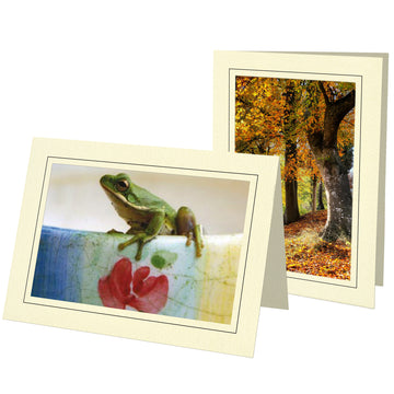 1134 - Cream, Raven Black Border, Blank Back, set of 10 cards