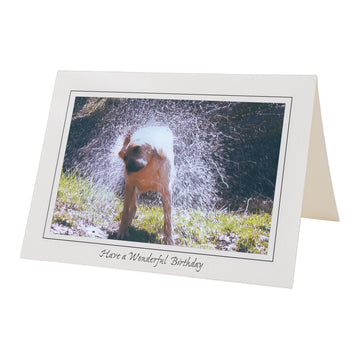 1153 - Bright White, Have a Wonderful Birthday, Horizontal, set of 10 cards