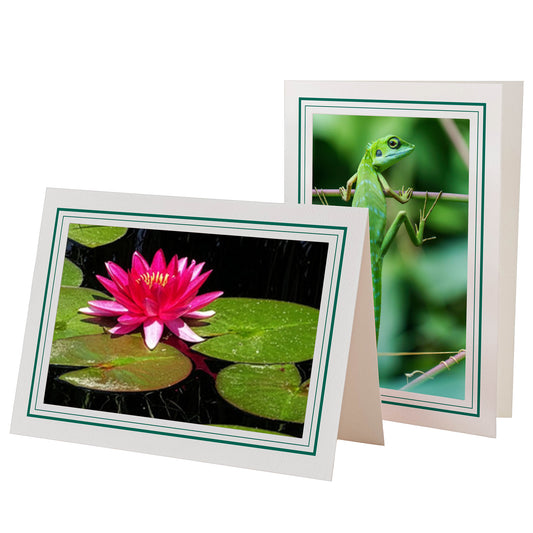 1226A-A - Bright White, Amazon Green & Amazon Green, Blank Back, set of 10 cards