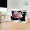 1226BK-BK - Bright White, Raven Black & Raven Black, Blank Back, set of 10 cards