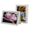 1226BK-BK - Bright White, Raven Black & Raven Black, Blank Back, set of 10 cards