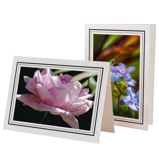 1226BK-BK - Bright White, Raven Black & Raven Black, Blank Back, set of 10 cards