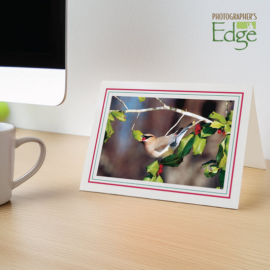 1226SC-A - Bright White, Scarlet Red & Amazon Green Border, Blank Back, set of 10 cards