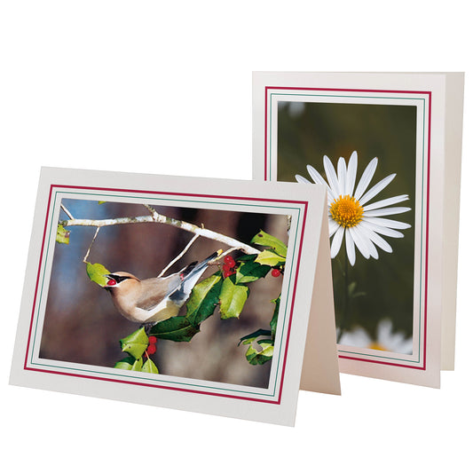 1226SC-A - Bright White, Scarlet Red & Amazon Green Border, Blank Back, set of 10 cards