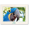 1254 - Natural, Hello, Horizontal, set of 10 cards