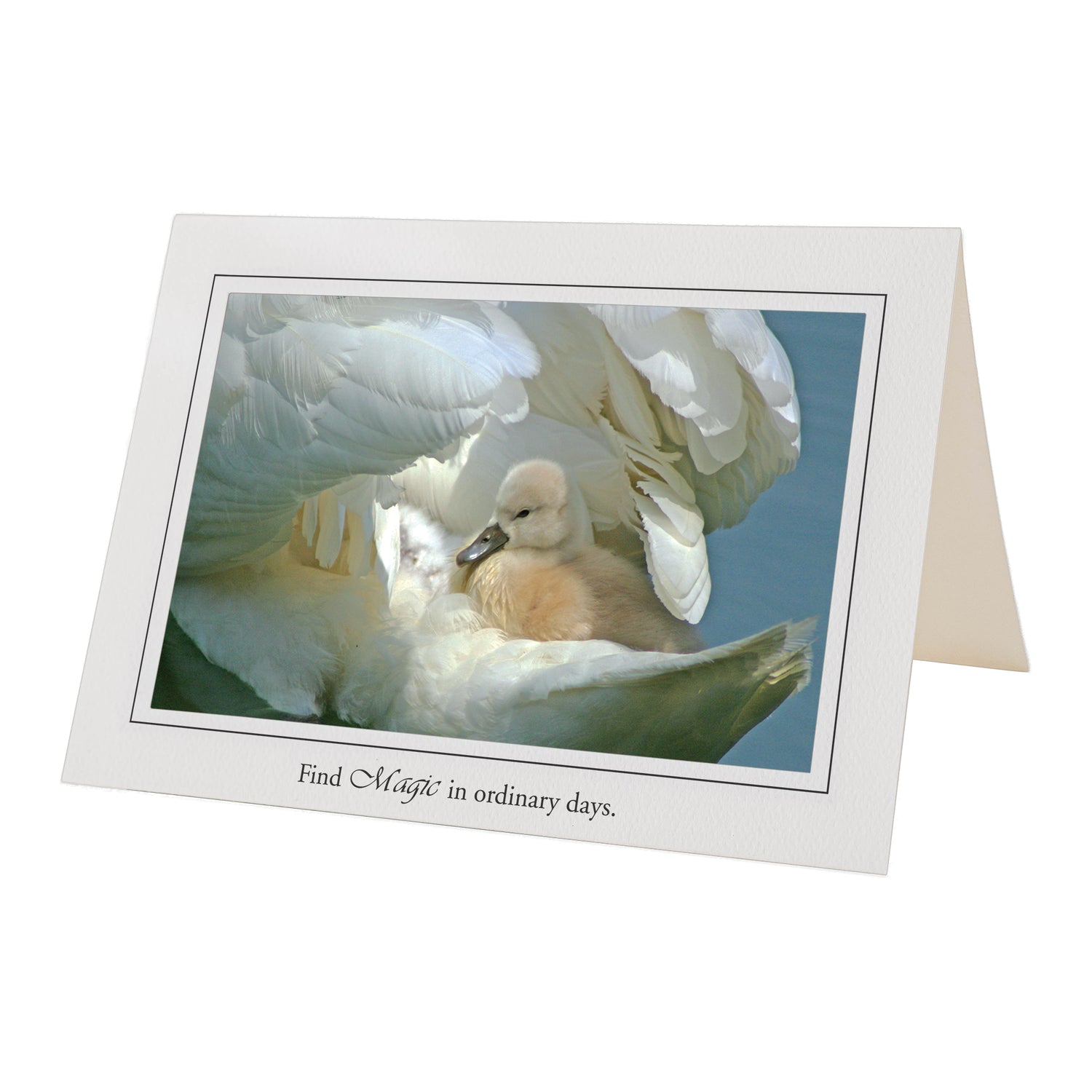 Other Occasion Cards