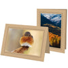 1270 - Ginger, Raven Black Border, Blank Back, set of 10 cards