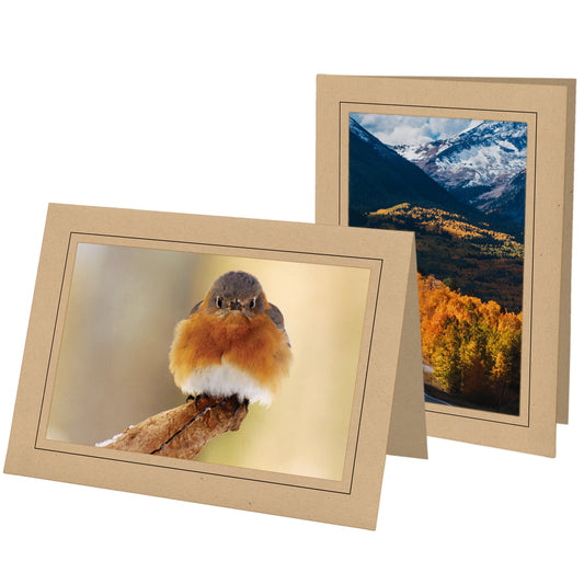 1270 - Ginger, Raven Black Border, Blank Back, set of 10 cards