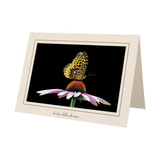 1311 - Natural, At this difficult time..., Horizontal, set of 10 cards