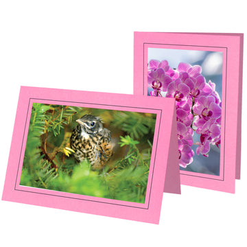 1342 - Pink, Raven Black Border, Blank Back, set of 10 cards