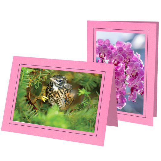 1342 - Pink, Raven Black Border, Blank Back, set of 10 cards