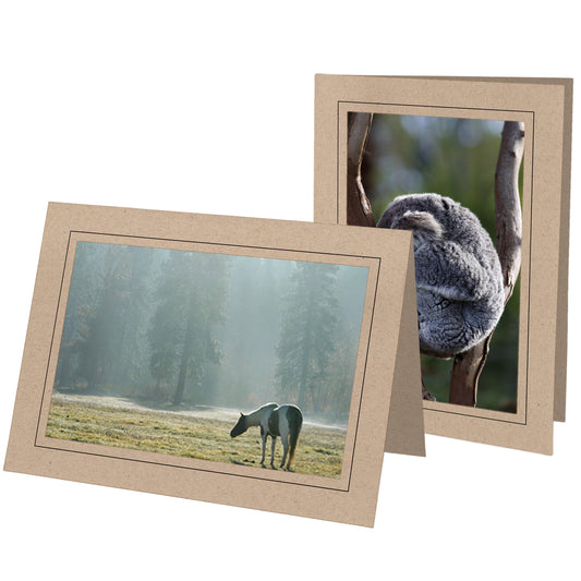 1343 - Kraft, Raven Black Border, Blank Back, set of 10 cards