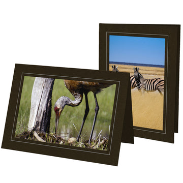 1377 - Chocolate, Silver Border, Blank Back, set of 10 cards