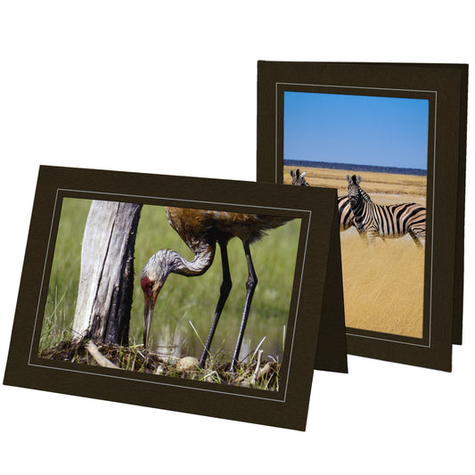 1377 - Chocolate, Silver Border, Blank Back, set of 10 cards