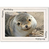 1437 - Natural, Happy Birthday, Blank Back, set of 10 cards