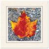 1440BK - Natural, Square Window, Raven Black Border, Blank Back, set of 10 cards