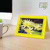 1490 - Lemon, Raven Black Border, Blank Back, set of 10 cards