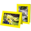 1490 - Lemon, Raven Black Border, Blank Back, set of 10 cards