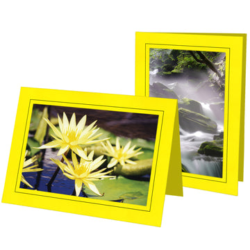 1490 - Lemon, Raven Black Border, Blank Back, set of 10 cards