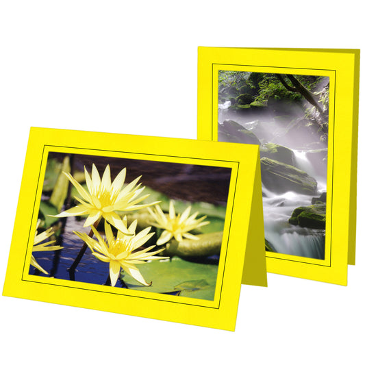 1490 - Lemon, Raven Black Border, Blank Back, set of 10 cards
