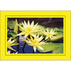 1490 - Lemon, Raven Black Border, Blank Back, set of 10 cards