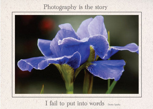 Photography Quotation Cards