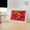 1565A - Natural, Amazon Green Bold Border, Blank Back, set of 10 cards