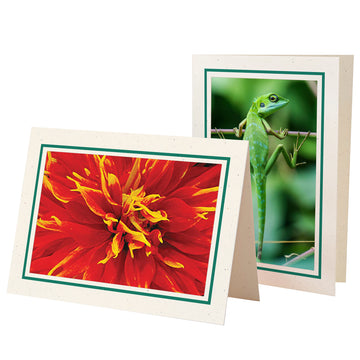 1565A - Natural, Amazon Green Bold Border, Blank Back, set of 10 cards