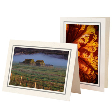 1565G - Natural, Granite Bold Border, Blank Back, set of 10 cards
