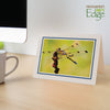 1565M - Natural, Midnight Blue Bold Border, Blank Back, set of 10 cards