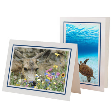 1566M - Bright White, Midnight Blue Bold Border, Blank Back, set of 10 cards
