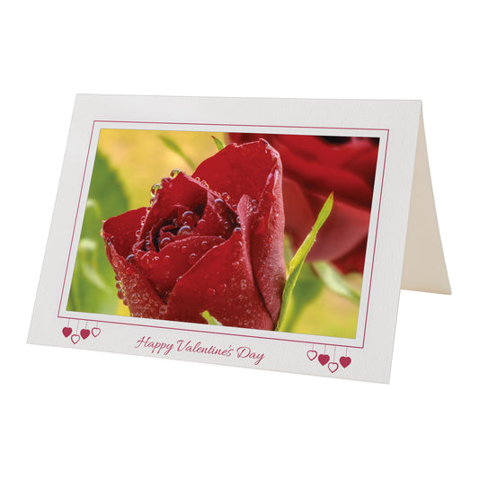 1595 - Bright White, Happy Valentine's Day, Horizontal, set of 10 cards