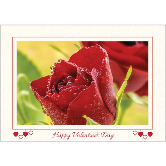 1595 - Bright White, Happy Valentine's Day, Horizontal, set of 10 cards