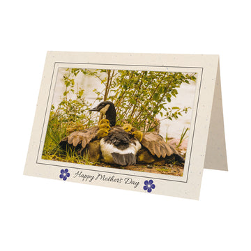1597 - Natural, Happy Mother's Day, Horizontal, set of 10 cards