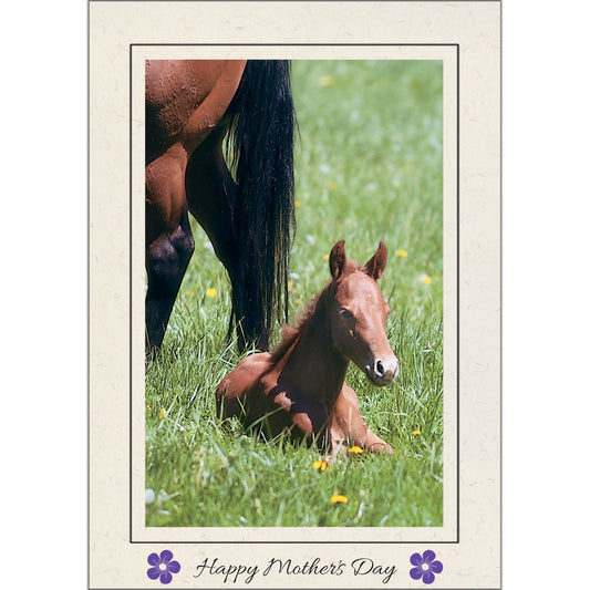 1598 - Natural, Happy Mother's Day, Vertical, set of 10 cards