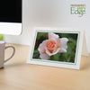 1609PJ - Bright White, Mint Green Pastel Border, Blank Back, set of 10 cards