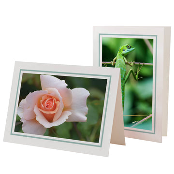 1609PJ - Bright White, Mint Green Pastel Border, Blank Back, set of 10 cards